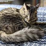 @nwatsica_526 Profile Picture