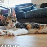 @heath.ferry_179 Profile Picture