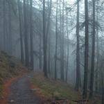 @padberg.era_854 Profile Picture