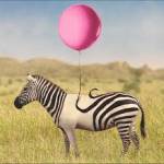 @Hodgson Profile Picture