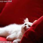 @barrows.sarai_196 Profile Picture