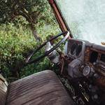 @mohr.mabel_359 Profile Picture