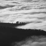 @ldonnelly_829 Profile Picture