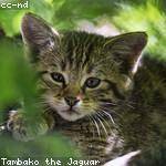 @pyundt_178 Profile Picture