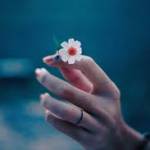 @Eipstein Profile Picture