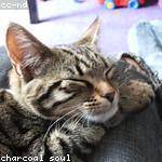 @lebert_167 Profile Picture