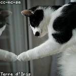 @rodger39_570 Profile Picture