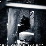 @leila97_936 Profile Picture