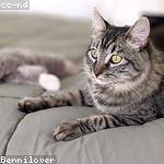 @xroberts_161 Profile Picture