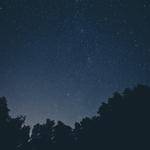 @christine.greenfelder_658 Profile Picture