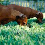 @aturner_528 Profile Picture