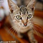 @valtenwerth_340 Profile Picture