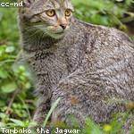 @barbara58_506 Profile Picture