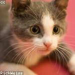 @koelpin.frederick_541 Profile Picture