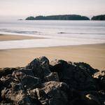 @emily.altenwerth_144 Profile Picture