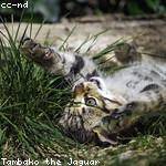 @randall.nolan_218 Profile Picture