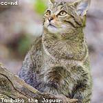 @wehner.gerhard_636 Profile Picture