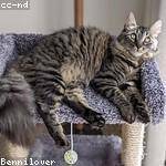 @hartmann.asha_463 Profile Picture