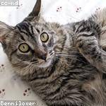 @jessie30_274 Profile Picture