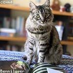 @justine58_893 Profile Picture