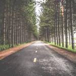 @gonzalo.wuckert_247 Profile Picture