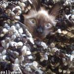 @ewald.dickens_623 Profile Picture