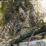 @beer.romaine_583 Profile Picture