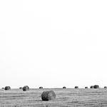 @elroy08_818 Profile Picture