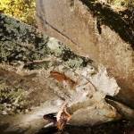 @lenny.mills_529 Profile Picture