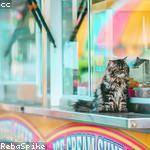 @ghintz_552 Profile Picture