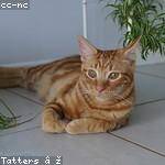 @cschultz_796 Profile Picture