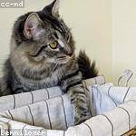 @alexane.steuber_461 Profile Picture