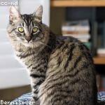 @triston.glover_650 Profile Picture