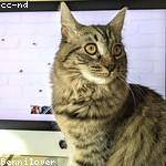 @dock41_991 Profile Picture