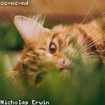 @fadel.tanner_236 Profile Picture