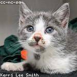 @weissnat_greta_651 Profile Picture