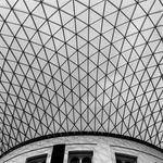 @chesley_homenick_433 Profile Picture