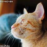 @daphne27_129 Profile Picture