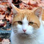 @donnelly_ada_248 Profile Picture