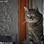 @yschmeler_218 Profile Picture